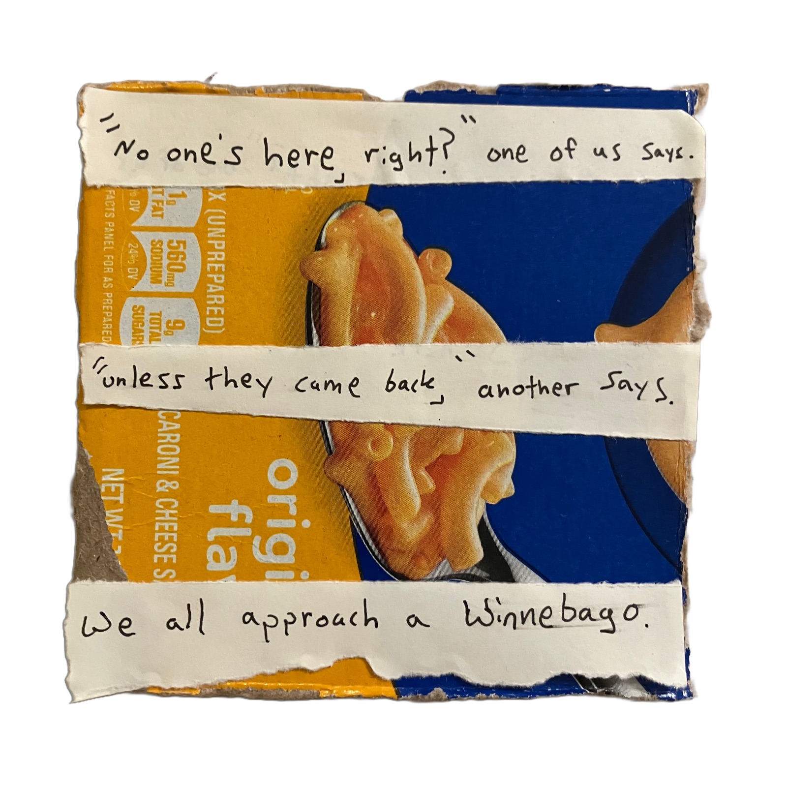 A Weird Pile of Winnebagos
